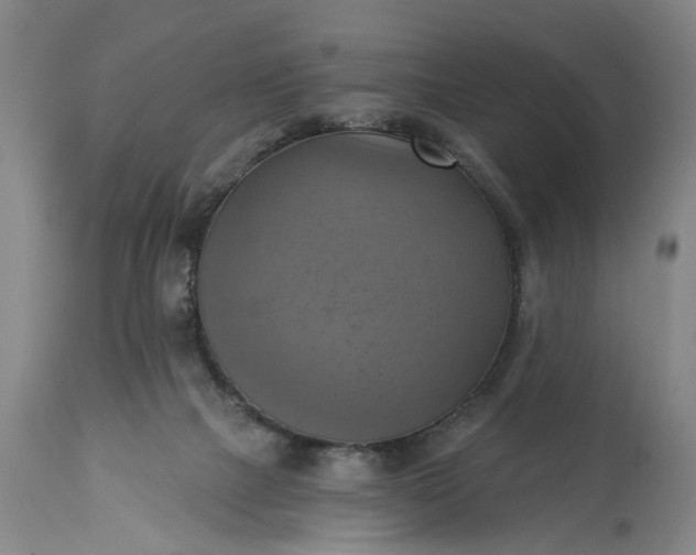 X0000115450073200911181557