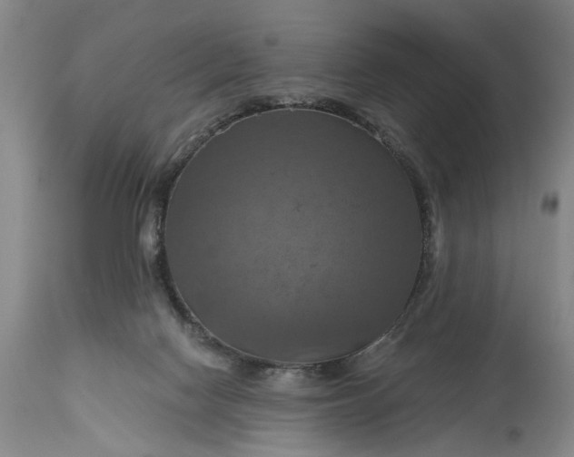 X0000115450074200911181557