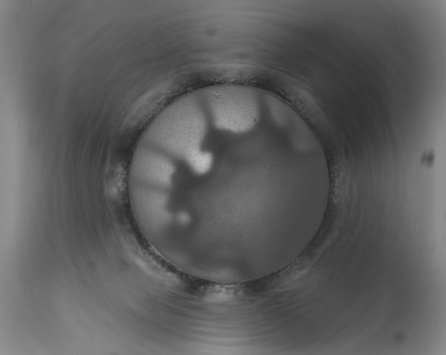 X0000115450077200911181557