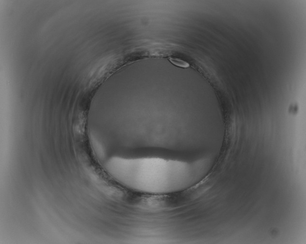 X0000115450078200911181557