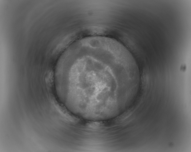 X0000115450079200911181557