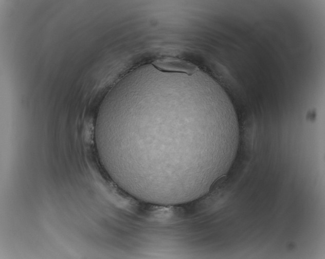 X0000115450083200911181557