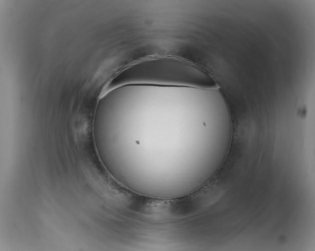 X0000115450084200911181557