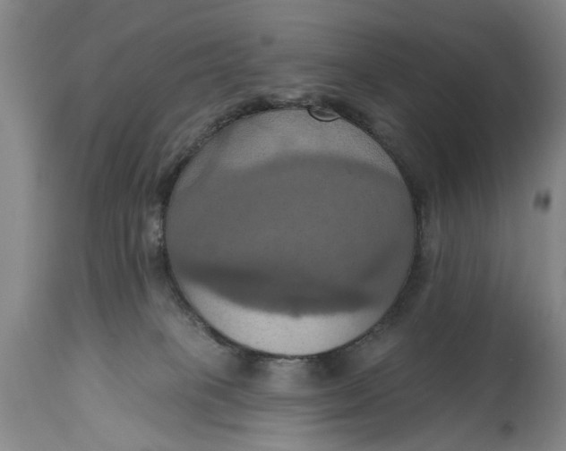 X0000115450085200911181557