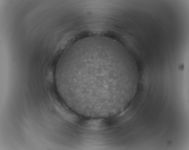 X0000115450086200911181557