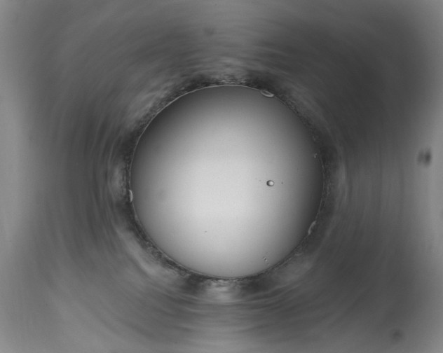 X0000115450088200911181557