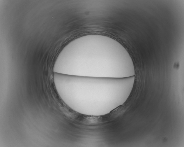 X0000115450089200911181557