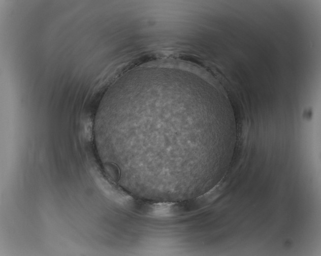 X0000115450090200911181557