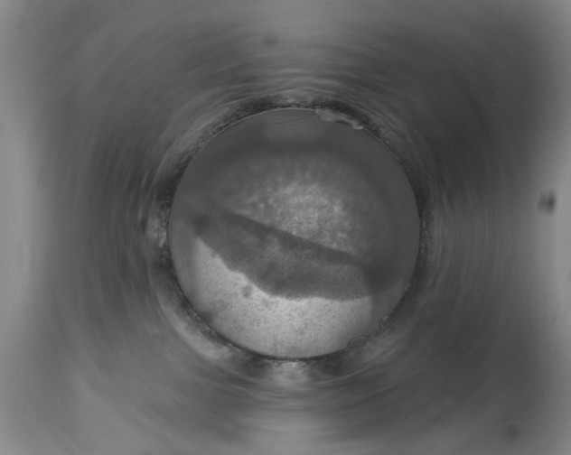 X0000115450091200911181557