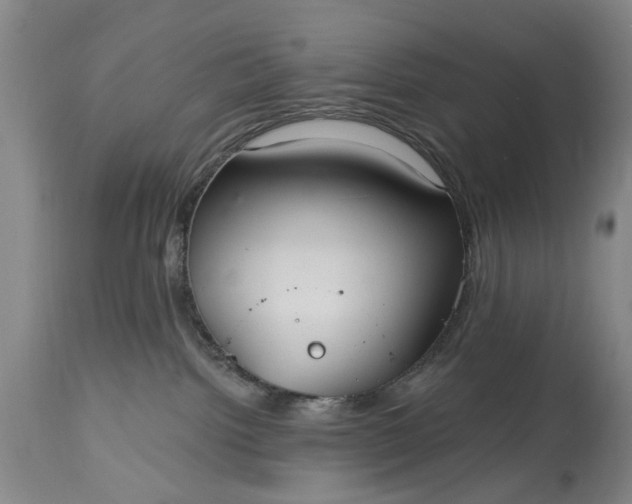 X0000115450092200911181557