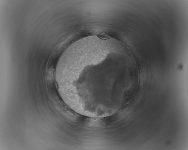 X0000115450093200911181557