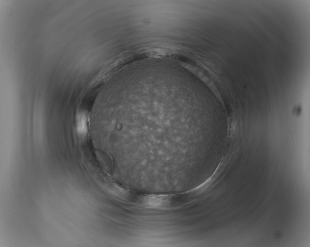 X0000115450094200911181557