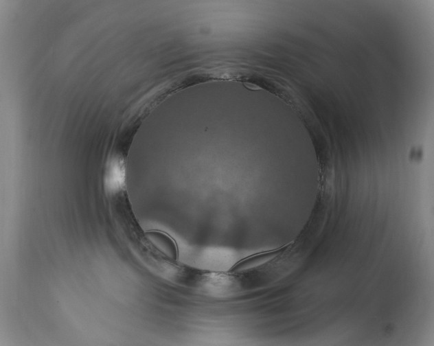 X0000115450095200911181557