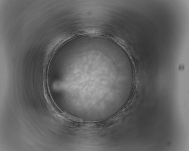 X0000115450097200911181557