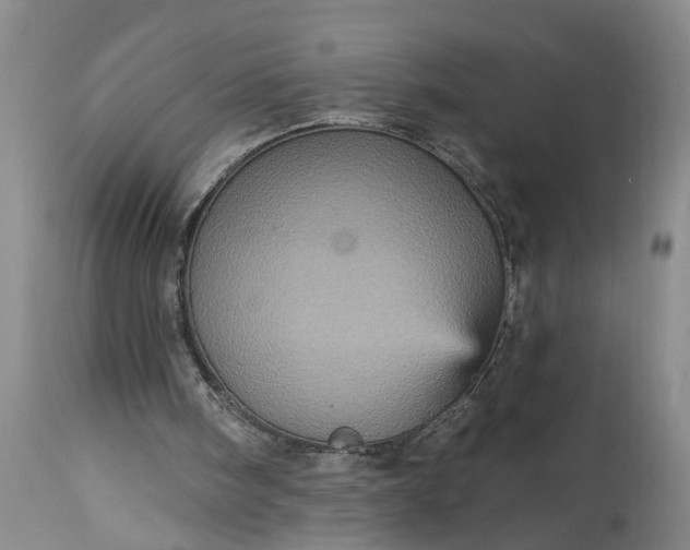 X0000115450098200911181556