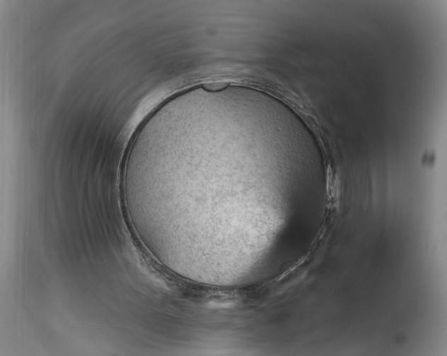 X0000115450099200911181556