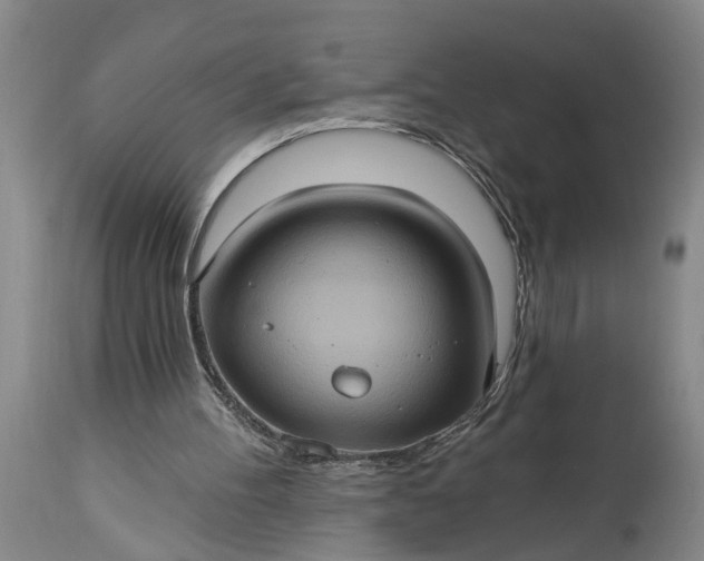 X0000115450100200911181556