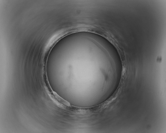 X0000115450101200911181556