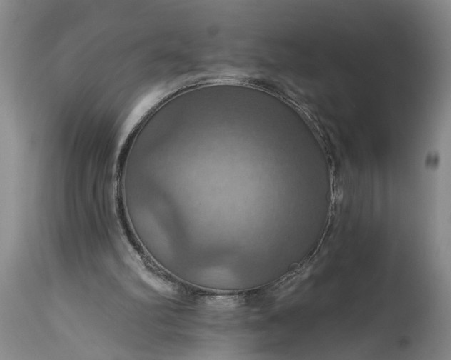 X0000115450102200911181556