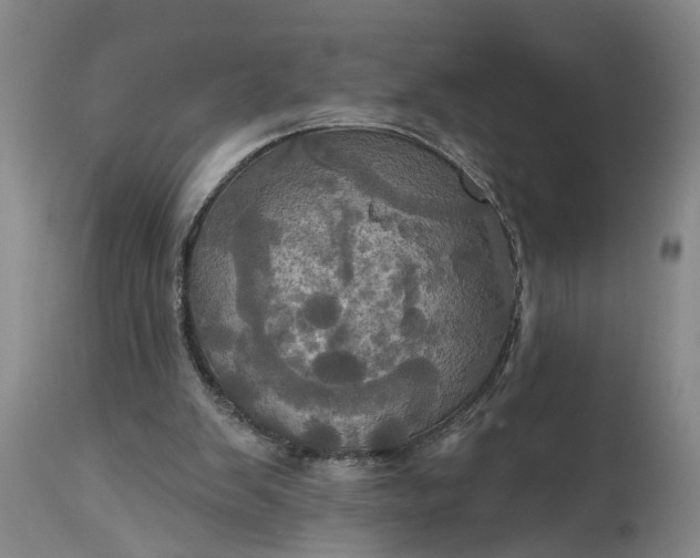 X0000115450103200911181556