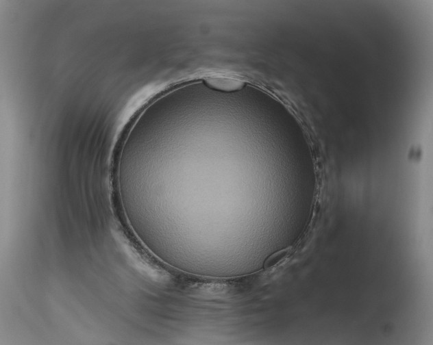 X0000115450104200911181556