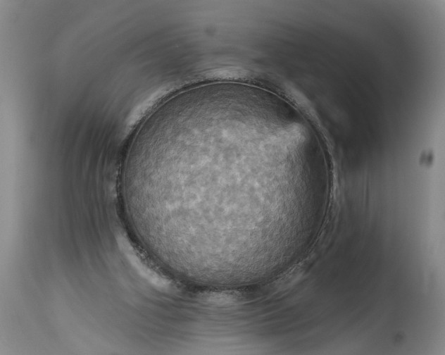 X0000115450106200911181556