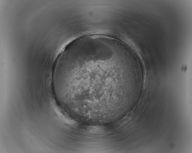 X0000115450107200911181556