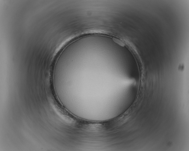 X0000115450108200911181556