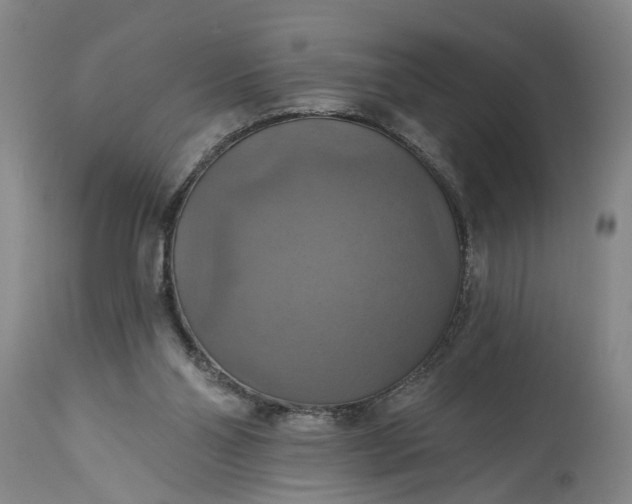 X0000115450110200911181556