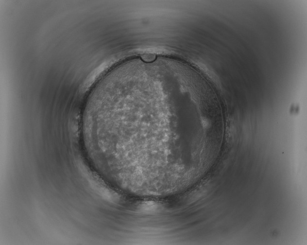 X0000115450111200911181556