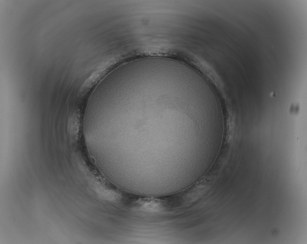 X0000115450113200911181556