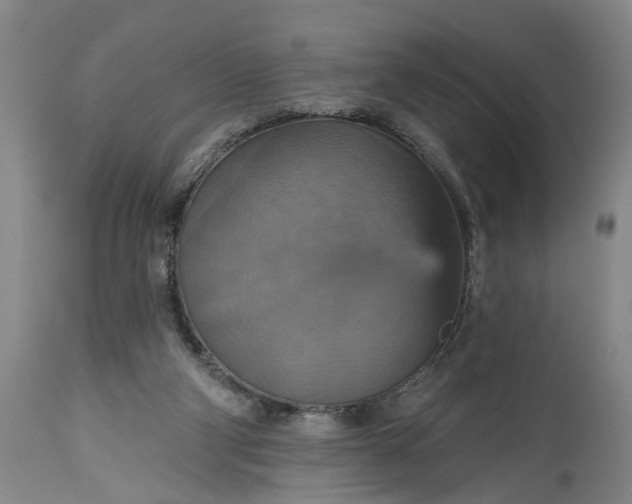 X0000115450114200911181556