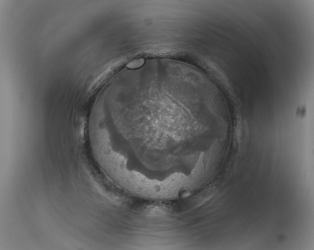 X0000115450115200911181556