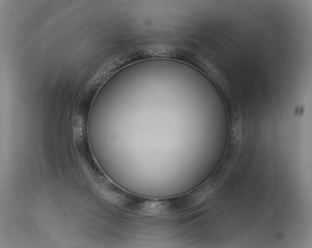 X0000115450117200911181556