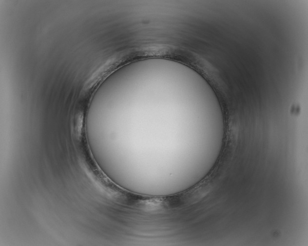 X0000115450118200911181556