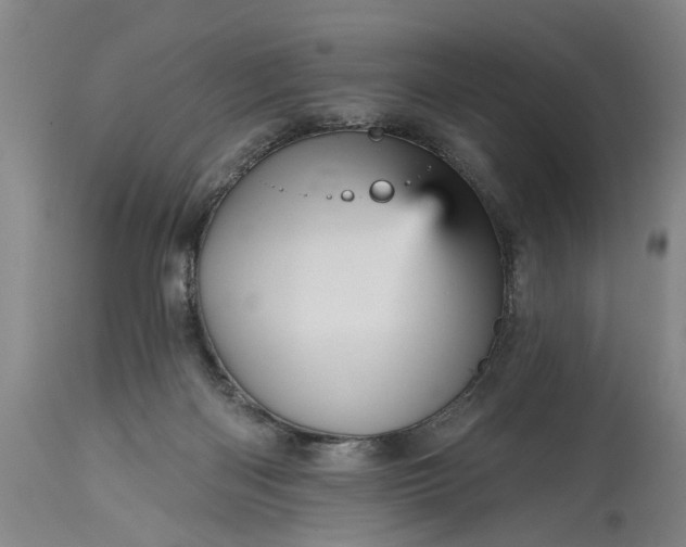 X0000115450122200911181556