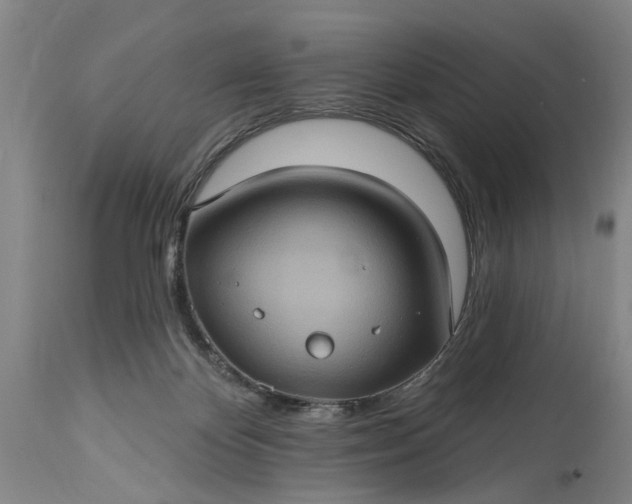 X0000115450124200911181556