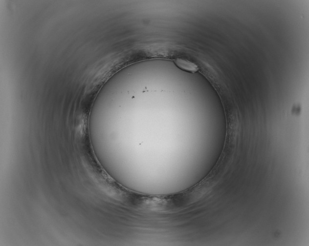 X0000115450125200911181556