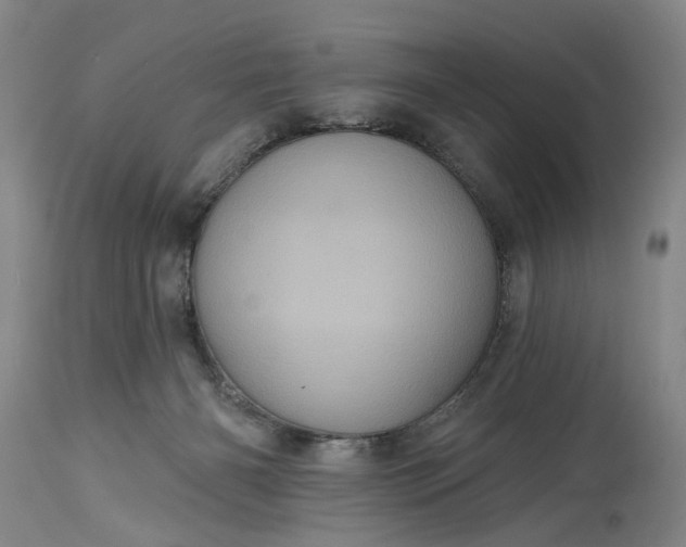 X0000115450126200911181556