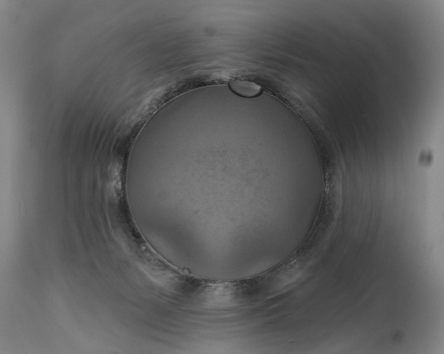 X0000115450127200911181556