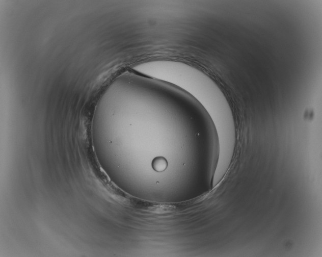 X0000115450128200911181556