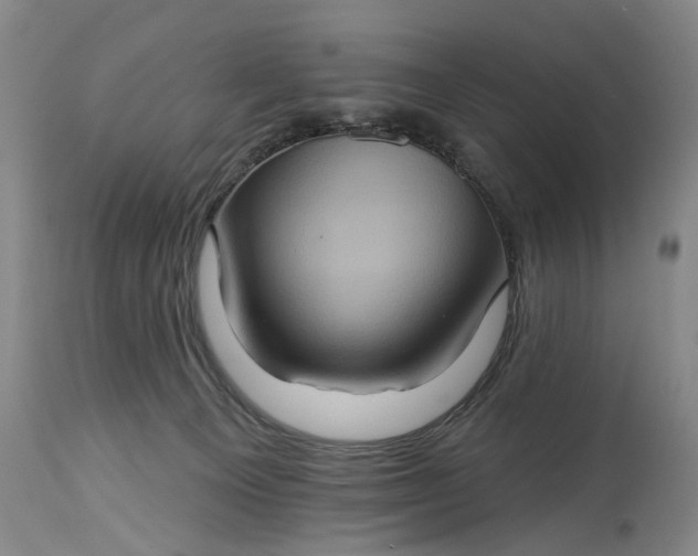 X0000115450129200911181556