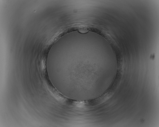 X0000115450131200911181556