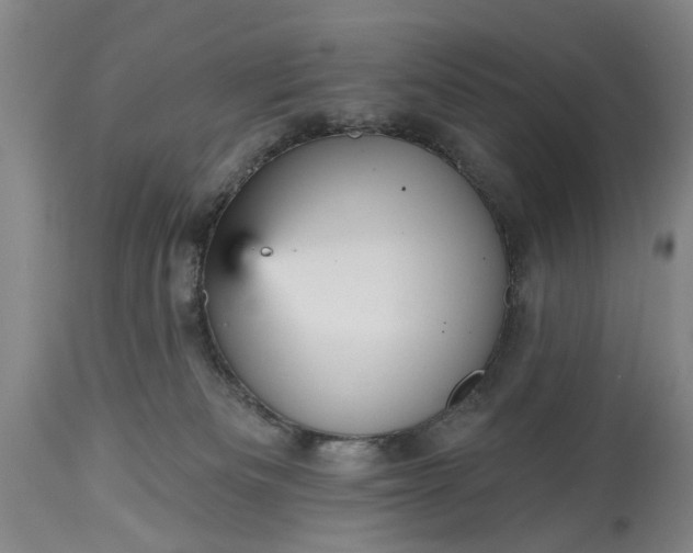 X0000115450133200911181556