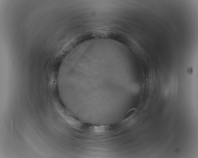 X0000115450134200911181556