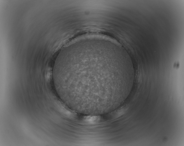 X0000115450135200911181556