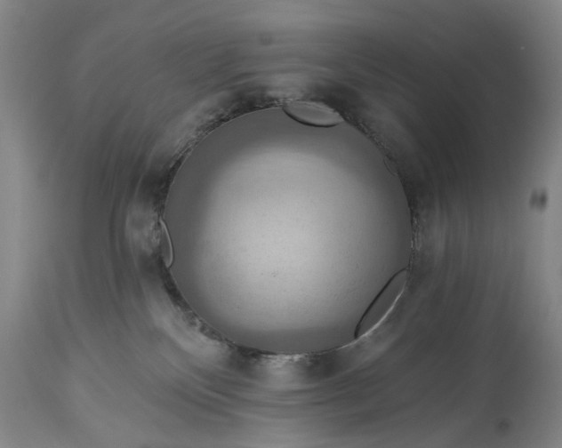 X0000115450136200911181556