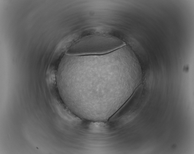 X0000115450137200911181556