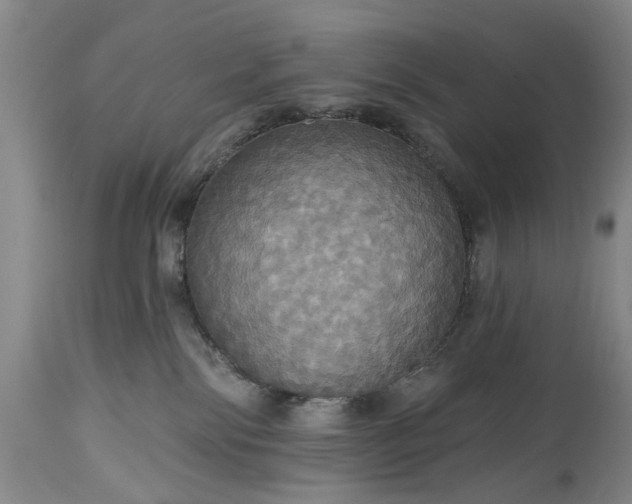 X0000115450138200911181556