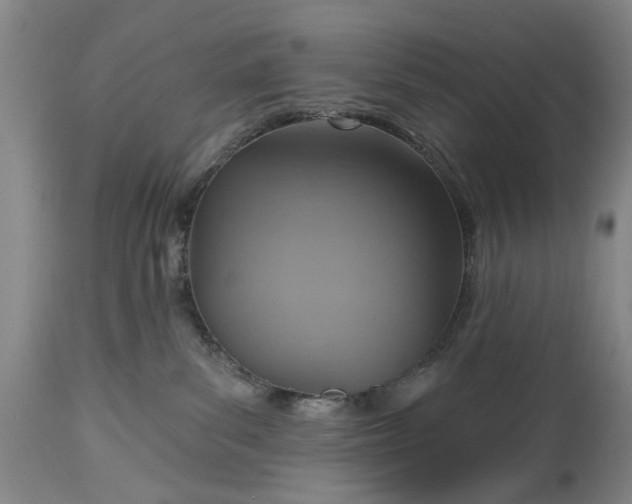 X0000115450139200911181556